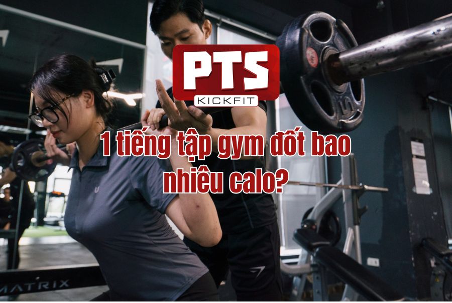 1 Tiếng Tập Gym Đốt Bao Nhiêu Calo? Điều Gì Ảnh Hưởng Đến Đốt Calo&nbsp;