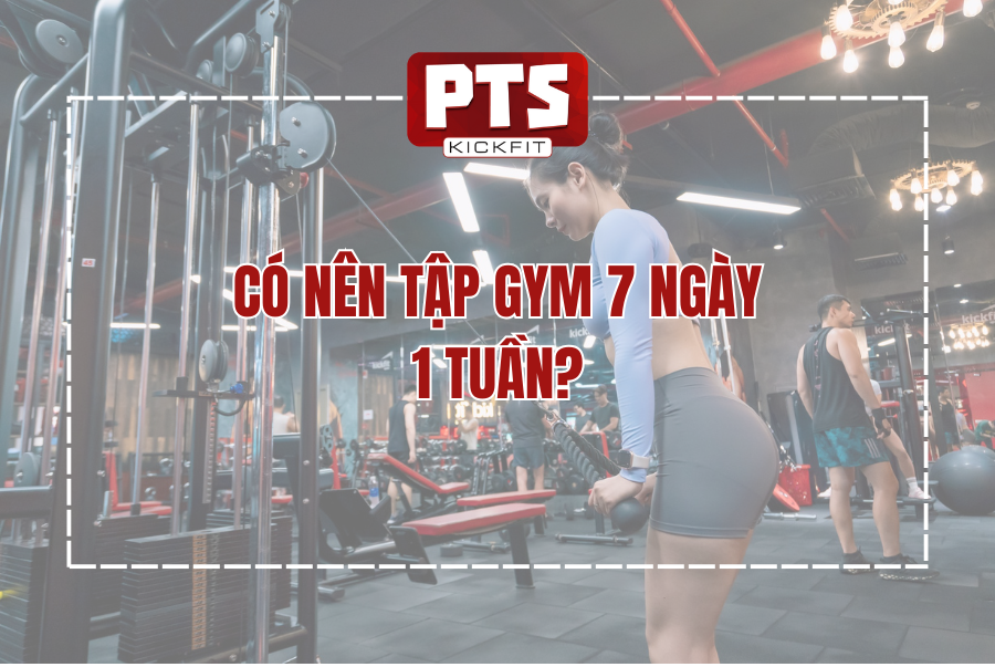 Có Nên Tập Gym 7 Ngày 1 Tuần? Chuyên Gia PTS Giải Đáp