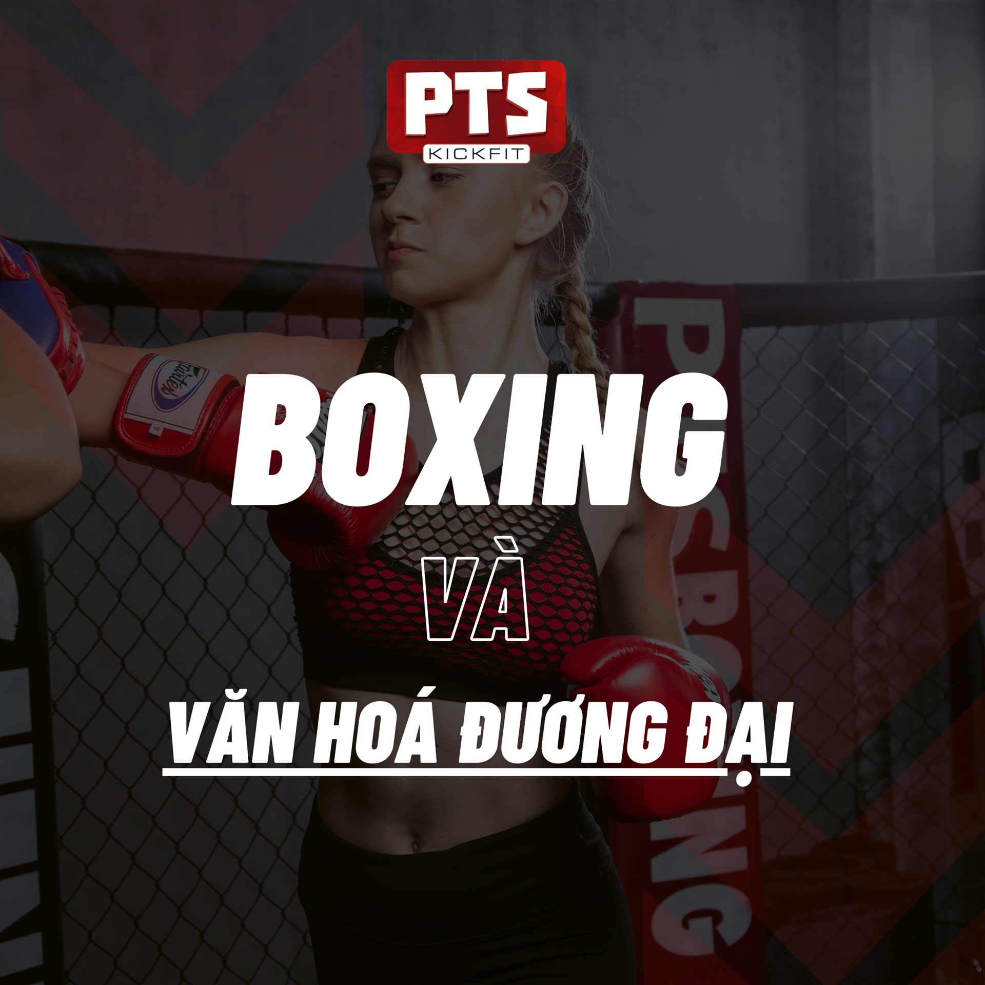 🪇BOXING VÀ VĂN HOÁ ĐƯƠNG ĐẠI: SỰ ẢNH HƯỞNG CỦA BOXING ĐẾN NGHỆ THUẬT VÀ GIẢI TRÍ