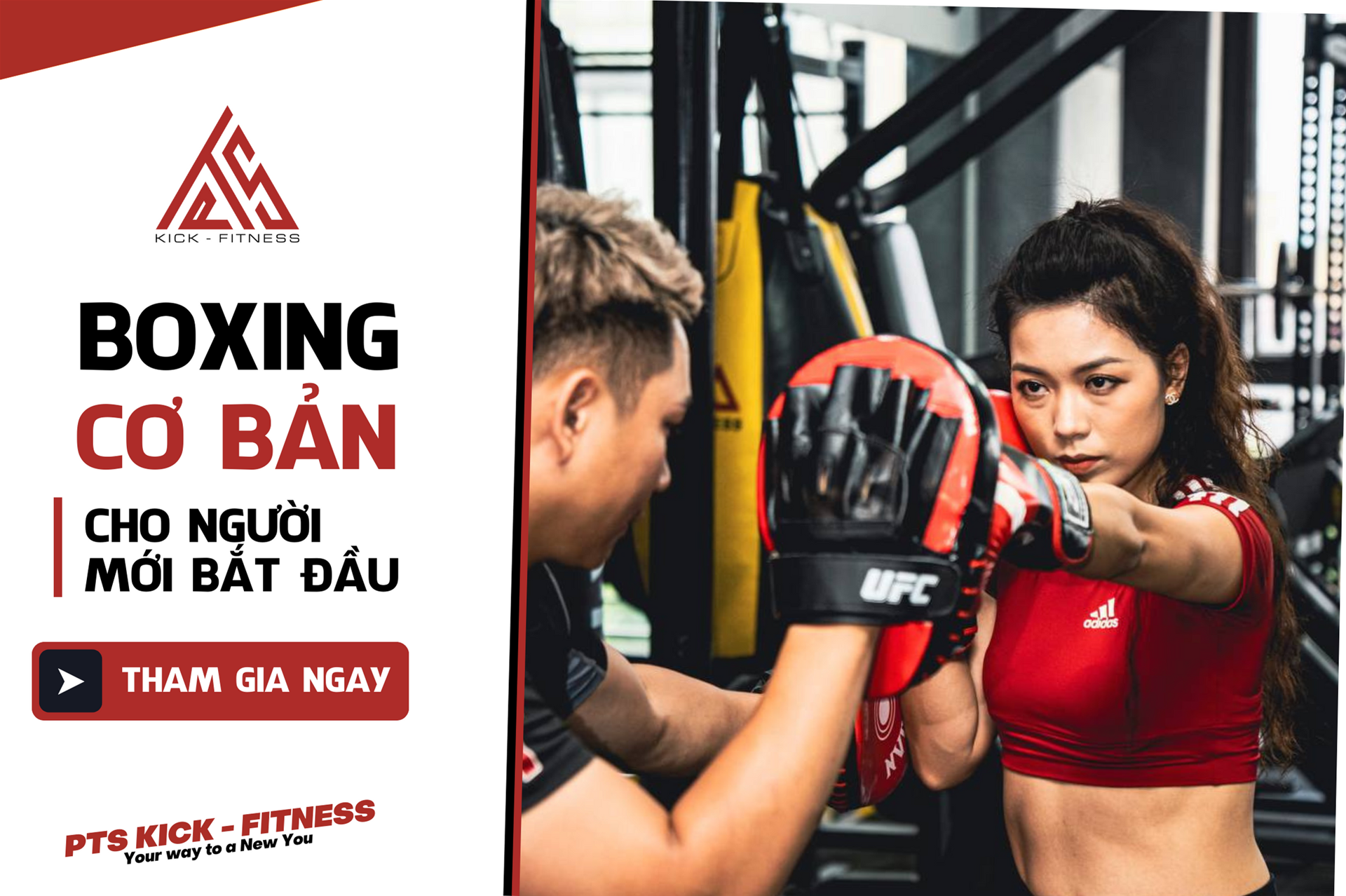 📌 BOXING CƠ BẢN CHO NGƯỜI MỚI BẮT ĐẦU