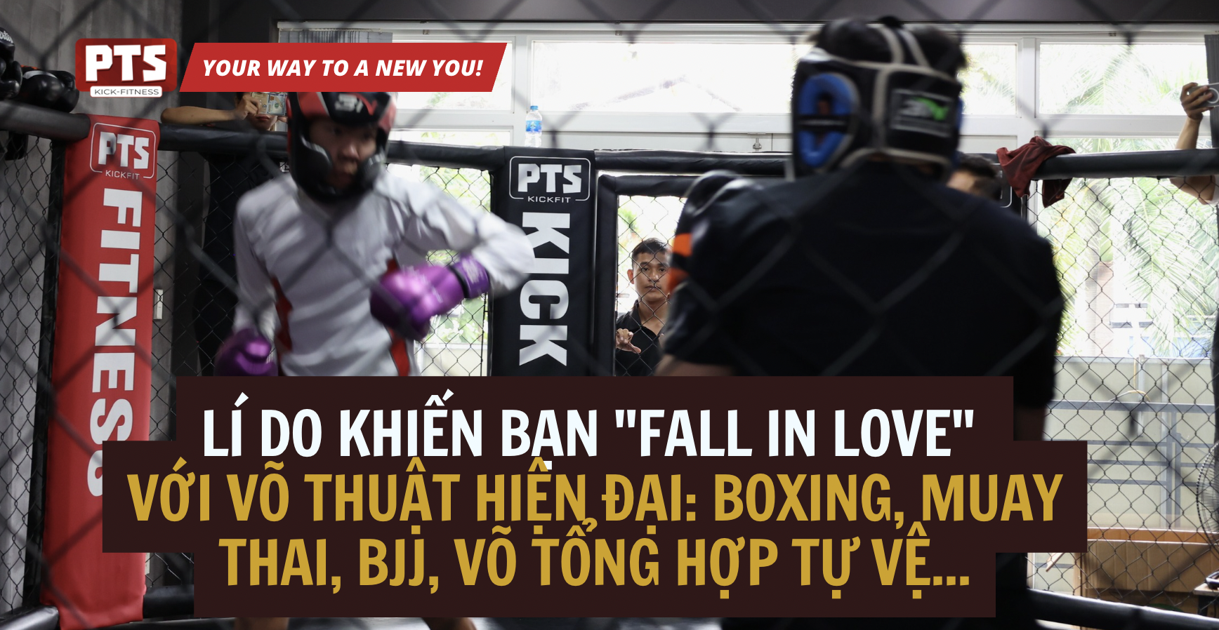 Lí Do Khiến Bạn "Fall In Love" Với Võ Thuật Hiện Đại: Boxing, Muay Thai, BJJ, Võ Tổng Hợp Tự Vệ...