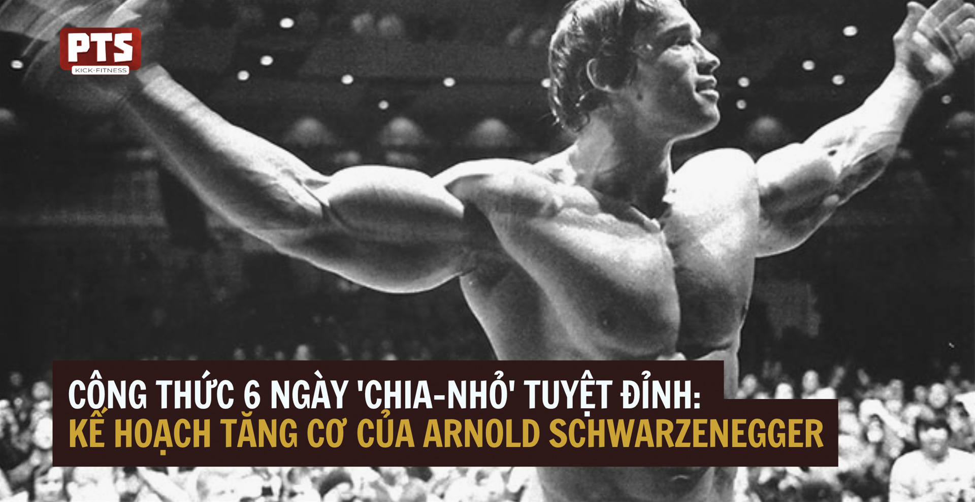 Công Thức 6 Ngày 'chia-nhỏ' Tuyệt Đỉnh: Kế Hoạch Tăng Cơ Của Arnold Schwarzenegger