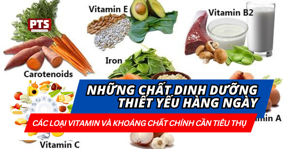 Những Chất Dinh Dưỡng Thiết Yếu Hàng Ngày: Các Loại Vitamin Và Khoáng Chất Chính Cần Tiêu Thụ