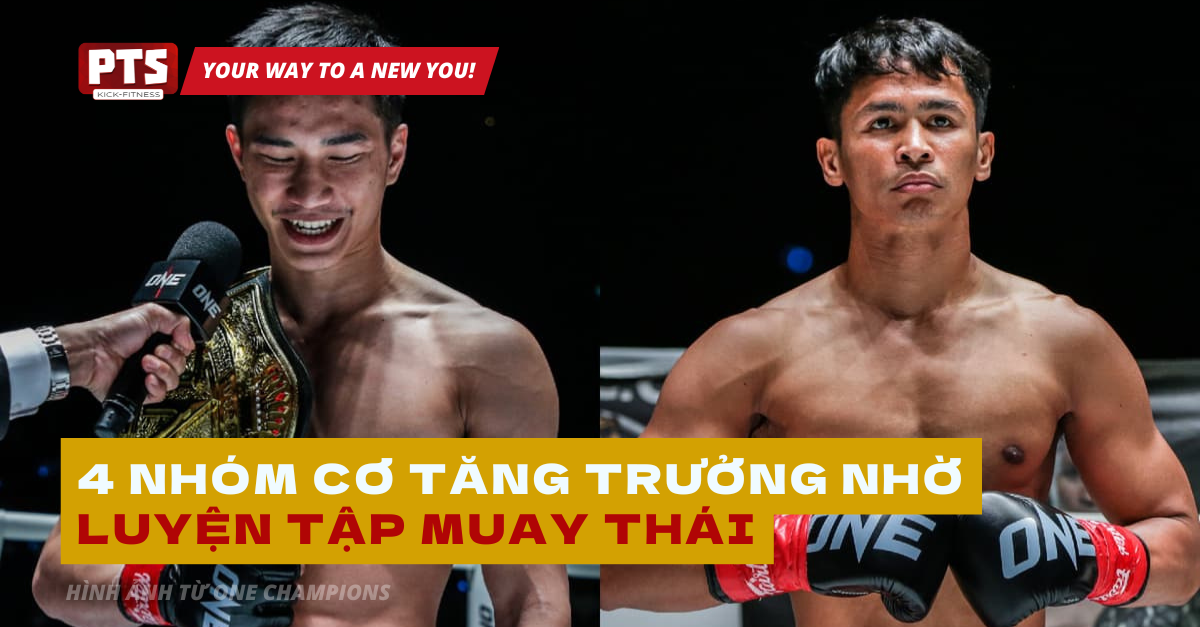 4 nhóm cơ tăng trưởng nhờ luyện tập Muay Thái