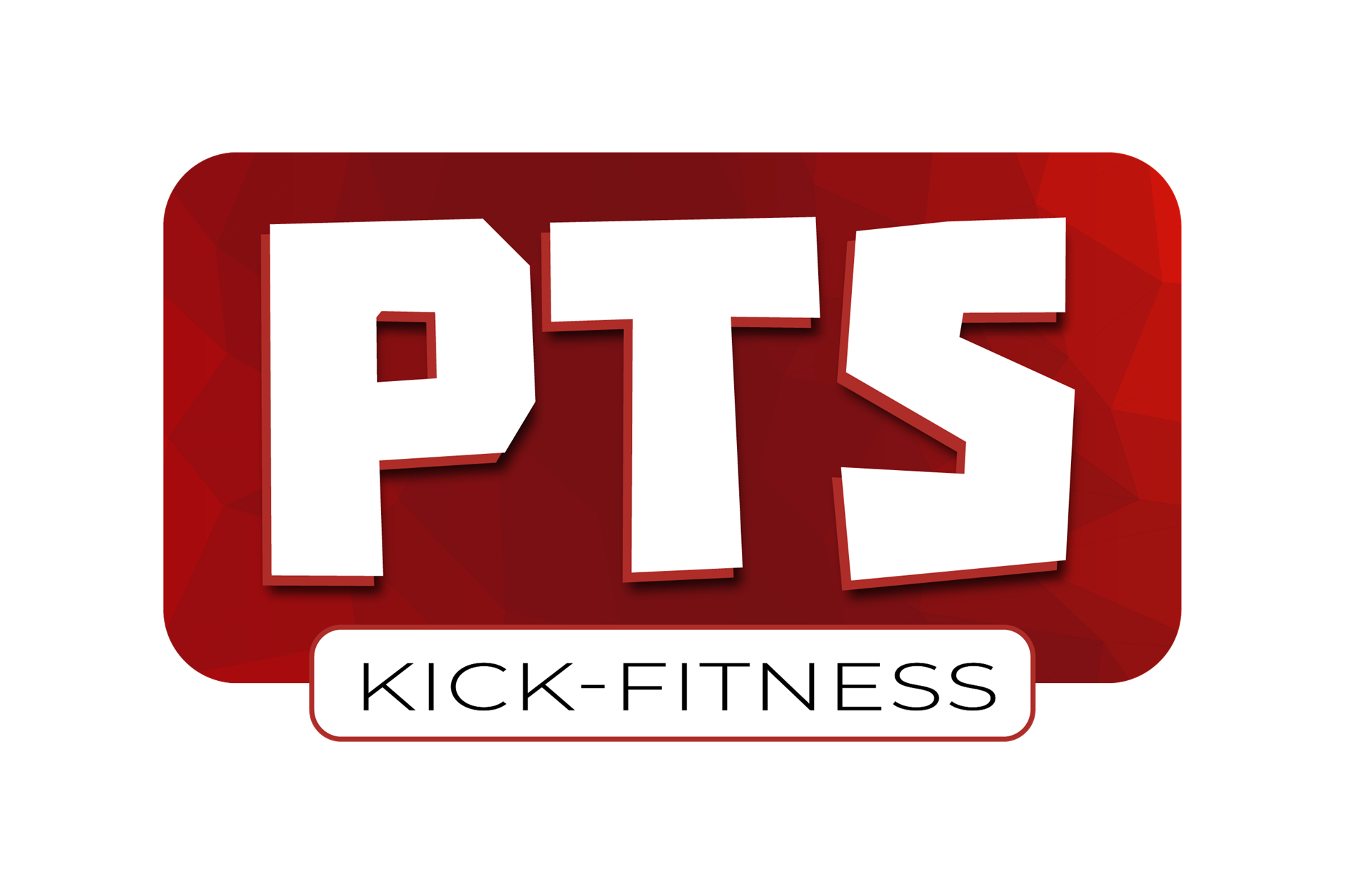 PTS Kick-Fitness