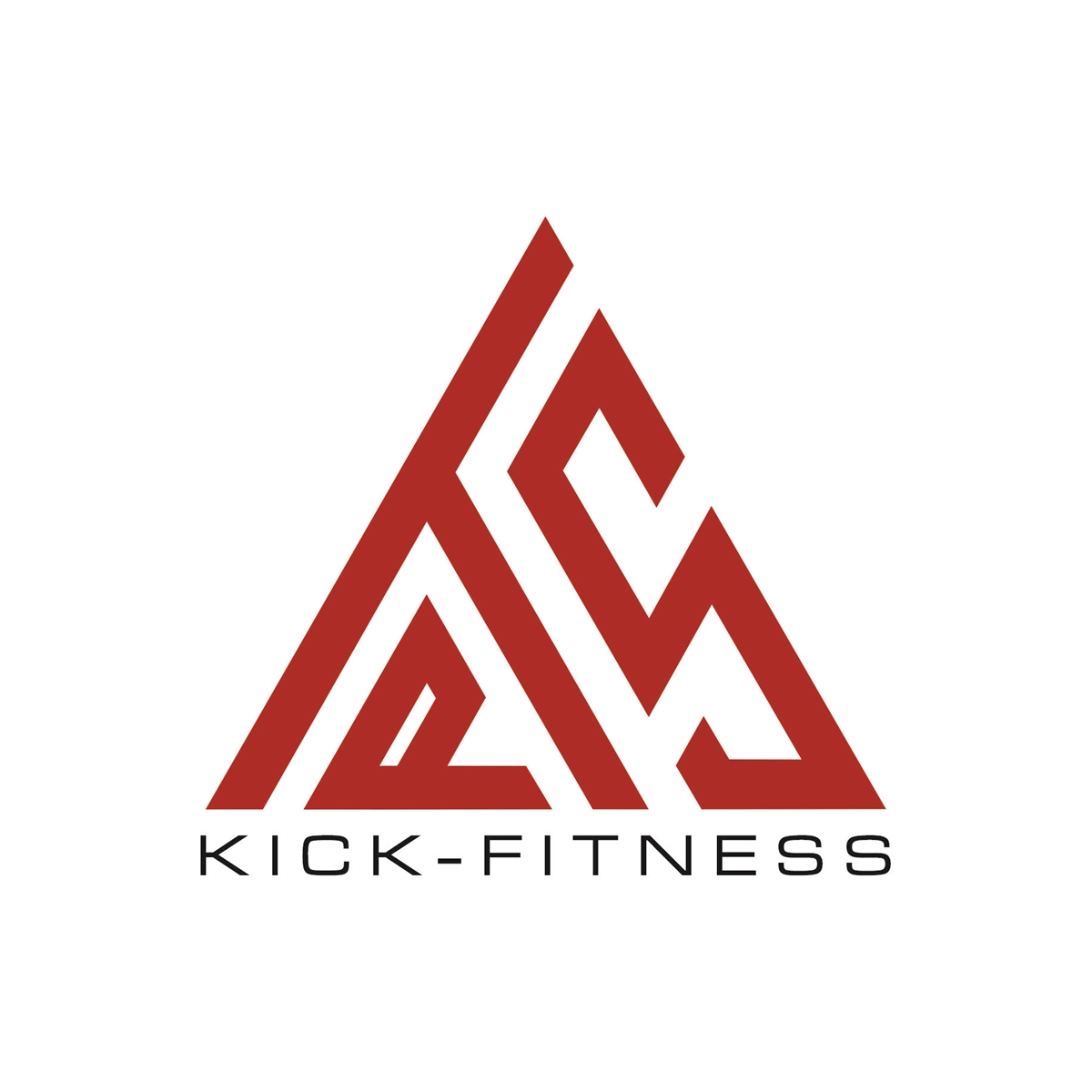 PTS Kick-Fitness